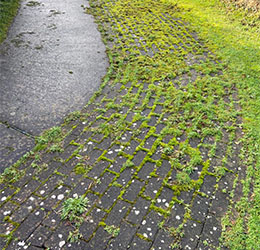 gallery_2